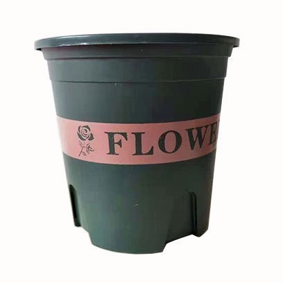 1 gallon pot for plants